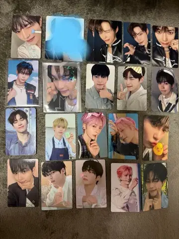 성한빈 트레이딩 카드