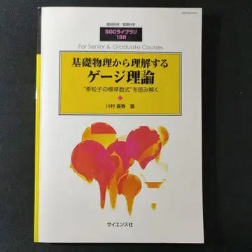 기초 물리학으로 이해하는 게이지 이론 카와무라 요시하루