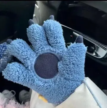 MINISO 스티치 파우 플러시 그로브 두꺼운 원단 여성용 블루 미튼