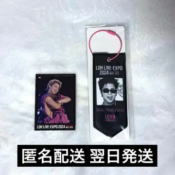 세구치 레이야 트레이딩 카드 미니 태피스트리 EXPO