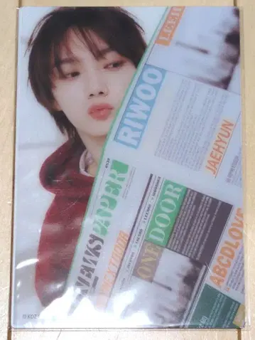 BOYNEXTDOOR 성호 클리어 카드 세트