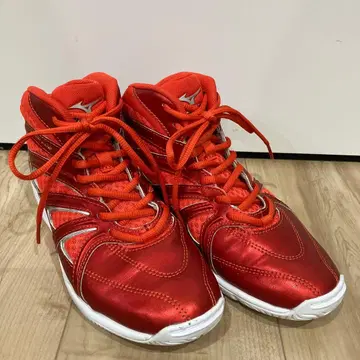 MIZUNO 미즈노 웨이브 다이버스 LG3 피트니스 신발