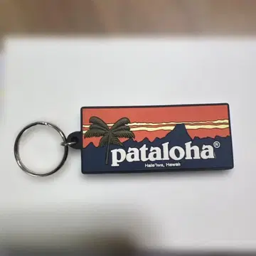[레어품] 파타로하 키링 patagonia 파타고니아