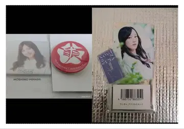 노기자카46 호시노 미나미 아크릴 스탠드 캔뱃지 마그넷 3종
