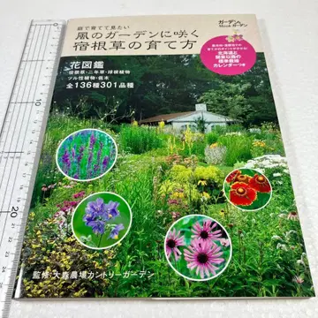 바람의 정원에 피는 숙근초 키우는 법