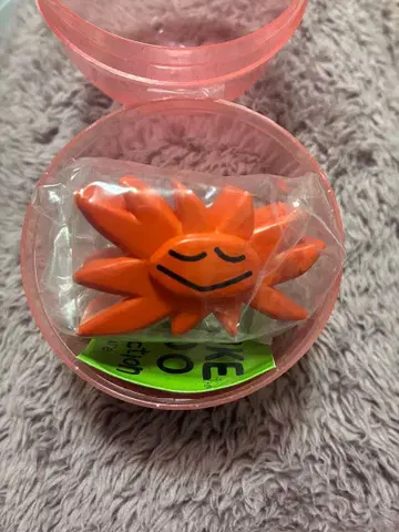 콘도 다이스케 태양