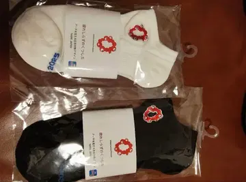 지치지 않는 미야쿠미야쿠 양말