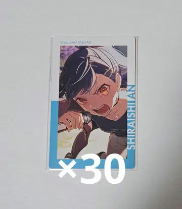 시라이시 안 프로세카 에피카 22B 열화