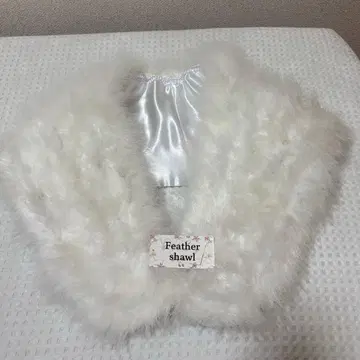 성인식 숄 페더숄