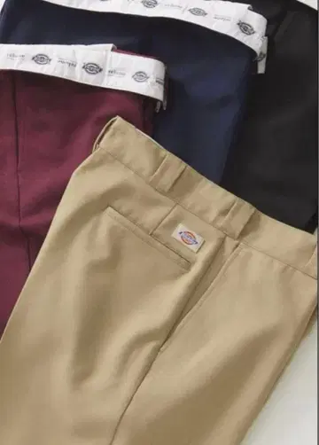 DICKIES x JOURNAL STANDARD relume 별주 874