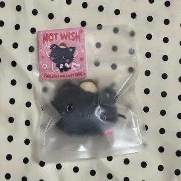 NCTWISH 인형 키링 리쿠