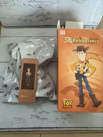 토이 스토리 30주년 기념 피규어 우디