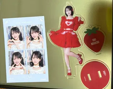 이코러브 노구치 이오리 특별 굿즈 아크릴 스탠드 4컷 포토 카드