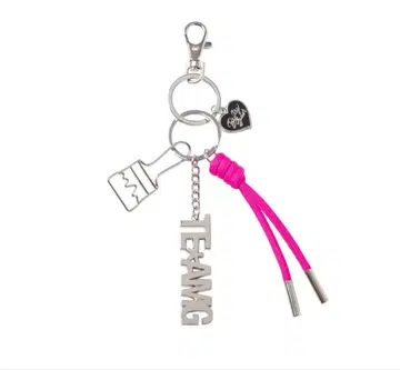 이와타 타카노리 TEAM G 백참