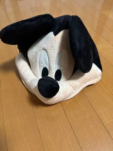 디즈니 미키 팬캡