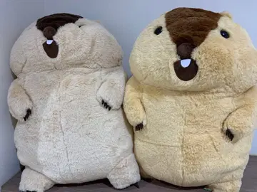 마모트의 마모토토 초 울트라 BIG 울트라 빅 봉제 인형 2종 세트