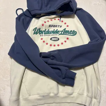 Ames Worldwide 그래픽 후드티