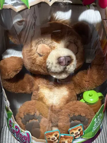 퍼리얼 놀기 대장 아기곰 카비 크리스마스 선물