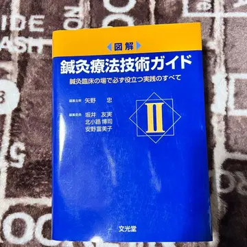 침구 요법 기술 가이드 II