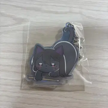 뱅드림 MyGO 극장판 시이나 타키 재미있는 고양이 아크릴 키링