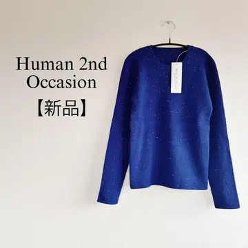 Human 2nd Occasion 라메 비쥬 리브 니트 크루넥