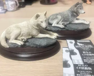 개과 동물 피규어 2체 세트