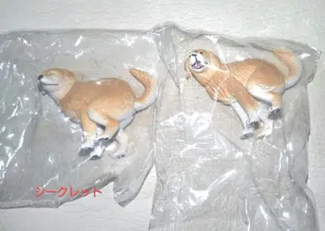 굼벵이2 시크릿 골든 리트리버 캡슐 토이 2종 세트