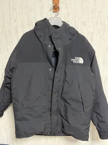 THE NORTH FACE 고어텍스 다운 자켓 L 사이즈