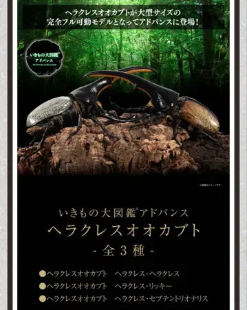 생물대도감 어드밴스 헤라클레스 장수풍뎅이 캡슐판 2종