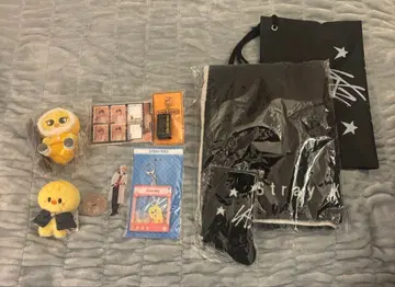 straykids 필릭스 Felix 굿즈 세트