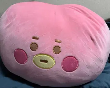 BT21 모찌인 L 사이즈 TATA