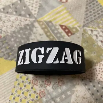 진천지개벽집단 지그재그 러버 밴드