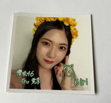 사쿠코이 사쿠라자카46 타니구치 아이리