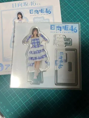히나타자카46 쇼겐지 요코 아크릴 스탠드 로손 1번 복권 경품