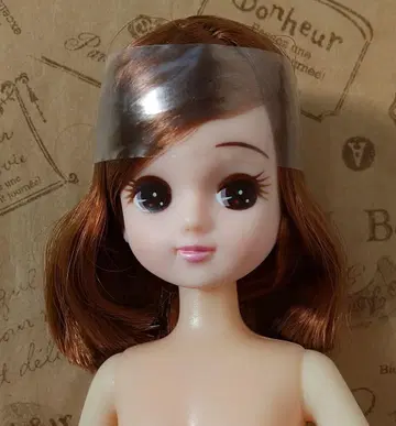 타카라토미 * 동경하는 우주 비행사 리카짱 인형 본체만