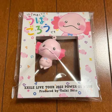 우파고로 키링 1