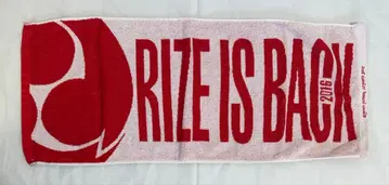 RIZE 타월 2장 세트