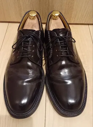 REGAL 2504 브라운 25cm 리걸 플레인토