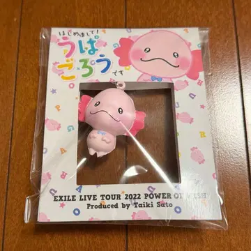 우파고로 키링 3