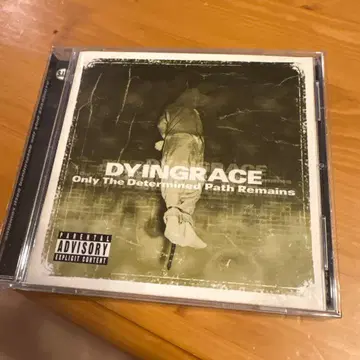 DYINGRACE Only Determined Path Remains