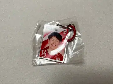 배구 남자 메지루시 참 이시카와 유키