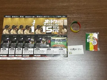 오드리 올 나이트 니폰 15주년 기념 전시 스티커 도쿄돔 러버 밴드