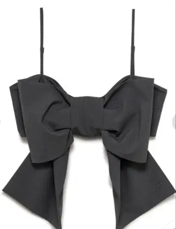 SORIN 빅 리본 뷔스티에/빅 리본 뷔스티에