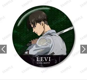 도 로드 로 복권 메이트 리바이 캔뱃지