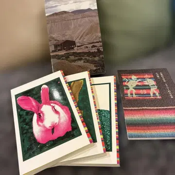 새상품급! 오자와 켄지의 토끼! 와 기업적인 사회, 테라피적인 사회 세트