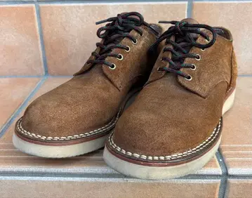 호손 네펜데스 별주 9.5E