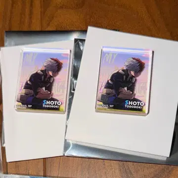 히로아카 토도로키 쇼토 로프트 히어로 플라자 아크릴 블록 twilight