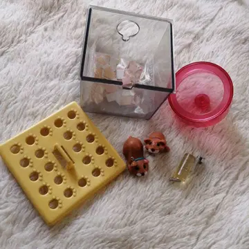 리틀 펫샵 햄스터