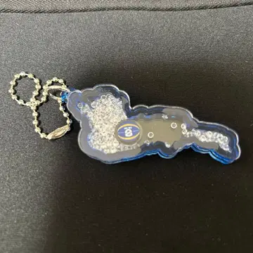 시가 레이크스 비와코 키링