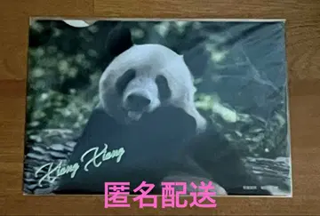 샹샹 우에노 마츠자카야 2025 클리어 파일 미개봉 새상품